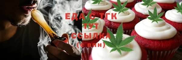 МДПВ Бородино