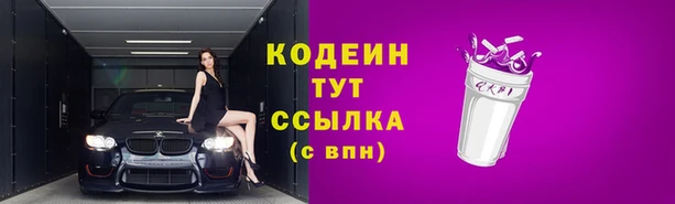 МДПВ Бородино