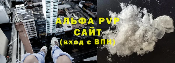 МДПВ Бородино