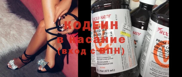 МДПВ Бородино