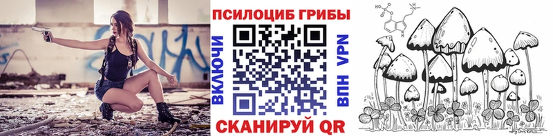 Псилоцибиновые грибы GOLDEN TEACHER  Купить где  Петровск 